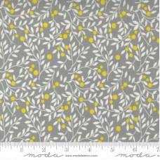 Morning Light 23344 12