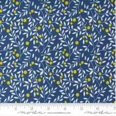 Morning Light 23344 15