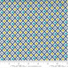 Morning Light 23345 15