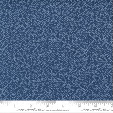 Morning Light 23346 15