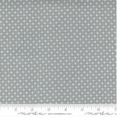 Morning Light 23347 22