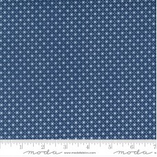 Morning Light 23347 25