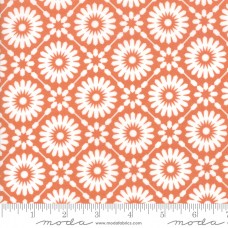 Midnight Magic 24080 12