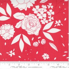 Beautiful Day 29132 31