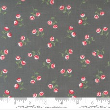 Beautiful Day 29133 14