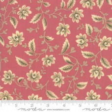 Nancys Needle 31600-22