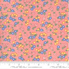 30s Playtime 33594 13