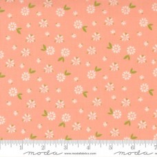 Seashore Drive 37622 13