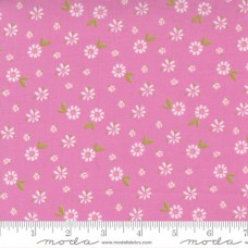 Seashore Drive 37622 15