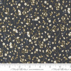 Midnight In Garden 43123 13