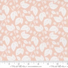 Midnight In Garden 43125 15