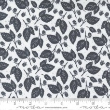 Midnight In Garden 43125 21