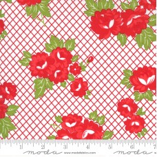 Sunday Stroll 55221 12