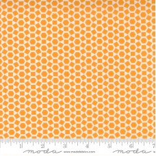 One Fine Day 55236 15