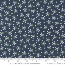 Nantucket Summer 55266 13