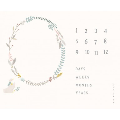 Little Ducklings  Canvas 25109 11CV
