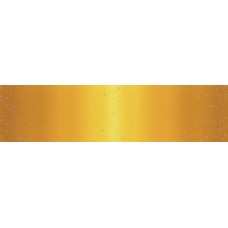 Ombre Fairy Dust 10871 213M