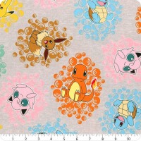 Pokeman AOP-74837-12