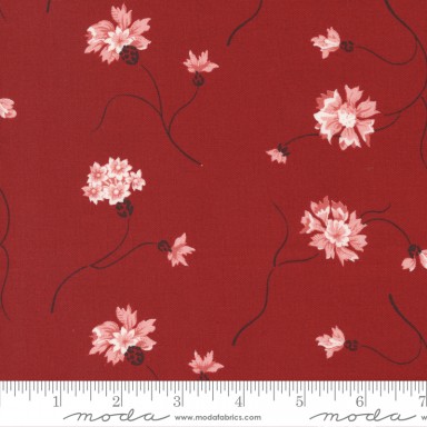 Red And White Gatherings 49190 15