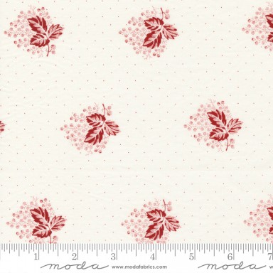 Red And White Gatherings 49192 11