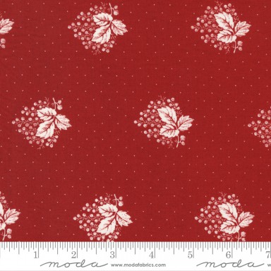 Red And White Gatherings 49192 13
