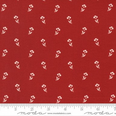 Red And White Gatherings 49193 13