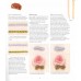 A-Z of Embroidery Stitches 2