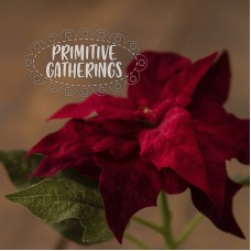 4 Inch Red Poinsettias In Pots